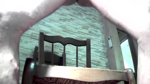 Lovense domi online show from January 25, 5:30 pm