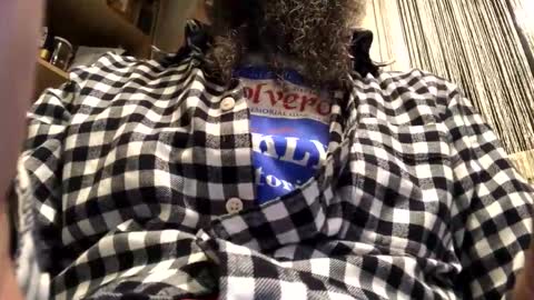 6990fiko online show from April 19, 10:12 pm