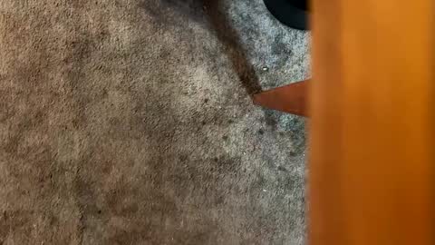 Drizzy online show from October 3, 3:00 am