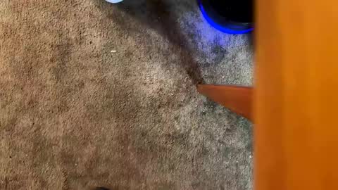 Drizzy online show from October 19, 9:56 am