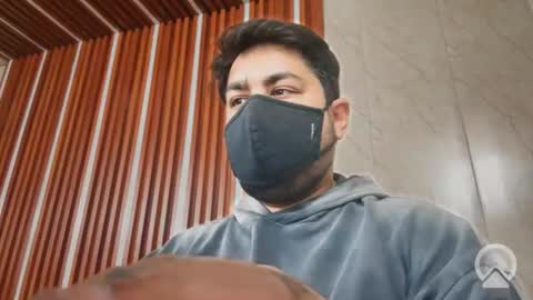 Sleepy owl online show from November 15, 9:00 am