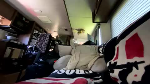 Adam online show from January 17, 8:00 pm