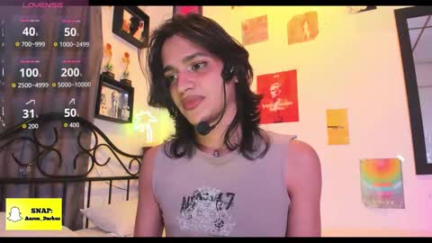 Snapshot of aaron_darkus chatting on October 13, 1:33 am Aaron online show from October 13, 1:33 am