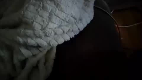 abepenix7 online show from April 2, 3:37 am