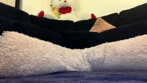 ENIGMA TZX5114 online show from December 15, 12:17 pm