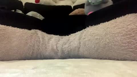 ENIGMA TZX5114 online show from March 12, 11:20 am