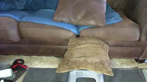 This is a temp room please follow excelsior62 by clicking the link below online show from January 9, 7:52 pm