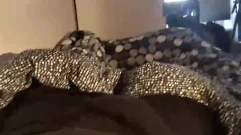 adrisex2002 online show from December 22, 10:49 am