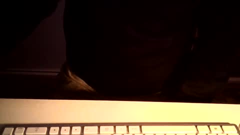 Ole online show from January 12, 10:25 pm