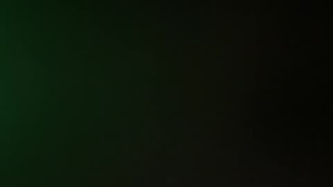 alc300170 online show from December 5, 7:48 am