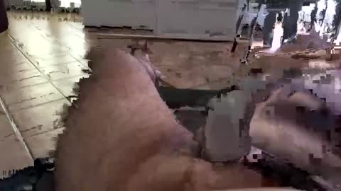 Snapshot of alto193cm chatting on October 5, 9:35 am kenzo online show from October 5, 9:35 am