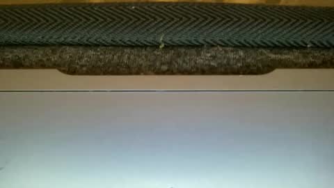 23cm4you online show from February 11, 10:59 pm