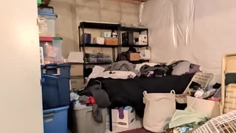 analbation online show from February 16, 9:29 am