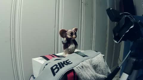 andy_552 online show from September 18, 1:46 pm