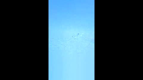 andypandy567 online show from May 12, 10:02 am