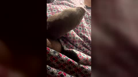 andyy646 online show from April 22, 10:20 am