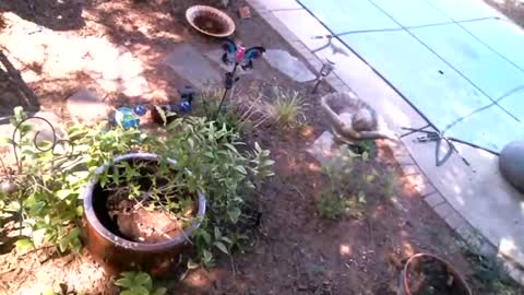 anoaklawnguy online show from April 23, 3:47 pm