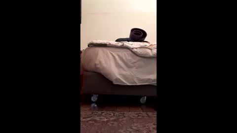 antonino85 online show from February 10, 5:17 pm