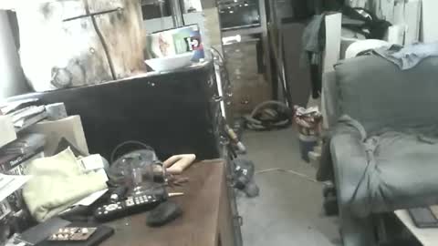 arealshowoff online show from June 8, 1:56 pm