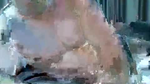 averagejoe2025 online show from October 23, 12:58 am