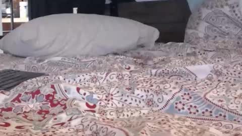 baker305 online show from September 29, 4:11 am