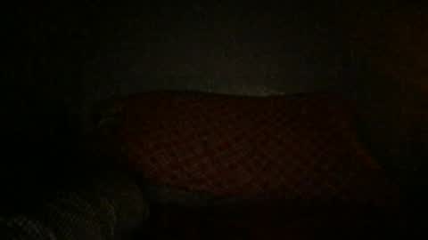 del online show from January 9, 4:29 am