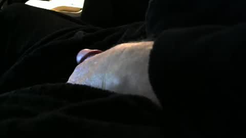 bear4146 online show from February 9, 3:45 pm