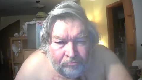 bear online show from February 1, 11:36 pm