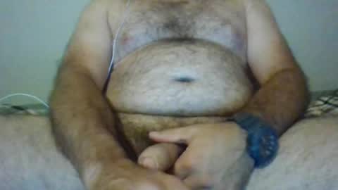 bearyuncut online show from August 6, 2:28 am