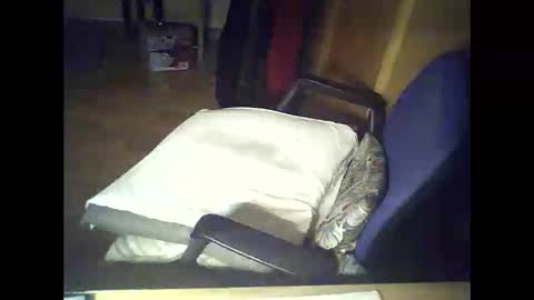 bekklove1 online show from February 5, 5:21 pm