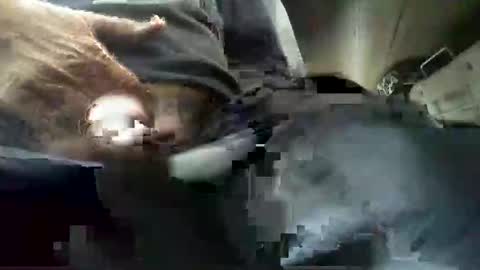 beninoam75 online show from February 14, 10:21 am