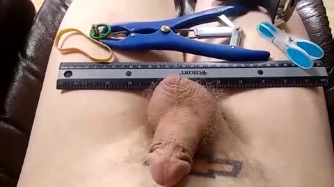 bicuriousbottomwy online show from December 31, 2:29 am