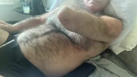 big bush online show from February 2, 2:48 am