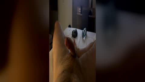 bigcockcal9 online show from June 11, 9:13 pm