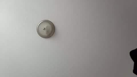 bg online show from January 8, 7:56 pm