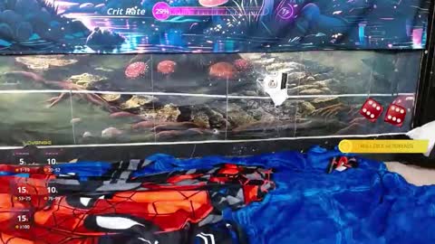 Bigd Pleasure House online show from October 13, 6:41 am