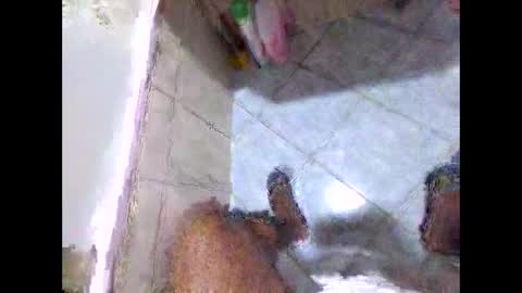 bighdasehzada online show from April 19, 8:25 am