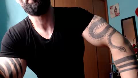 BigStallion online show from December 8, 11:51 pm