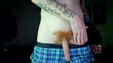 Onlyfans redheadedwhitedick online show from December 19, 1:24 am