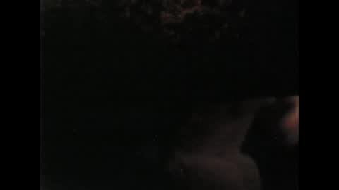 bilco03 online show from December 21, 10:23 am