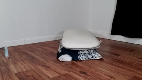 bilie11 online show from February 5, 9:22 pm