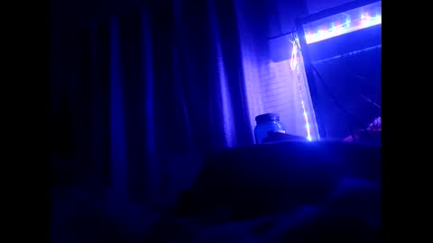 binhodm1 online show from February 23, 4:14 am