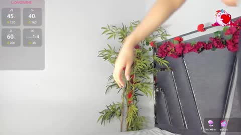 B L A C K  R O S E  online show from March 10, 11:45 am