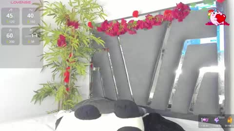 B L A C K  R O S E  online show from March 6, 11:47 am