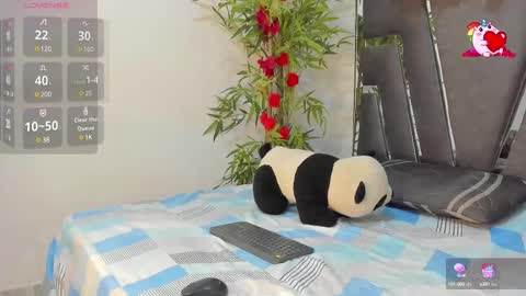 B L A C K  R O S E  online show from February 26, 11:41 am