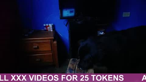Black Panther online show from July 23, 12:13 pm