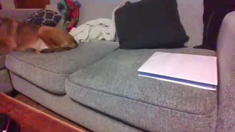 blaw_1321 online show from March 7, 9:18 am