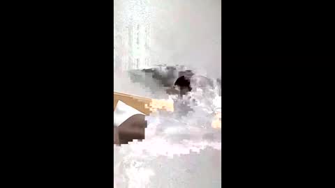 blknred69 online show from April 7, 6:52 pm