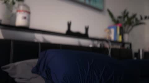 blue_eyes247 online show from June 9, 11:28 pm