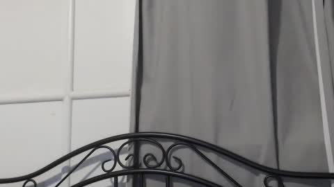 bob online show from December 15, 10:28 am